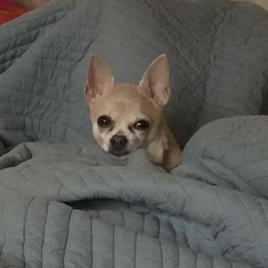 Meet your Posher, Michele